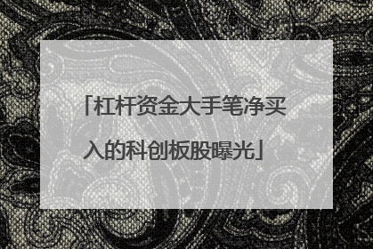 杠杆资金大手笔净买入的科创板股曝光