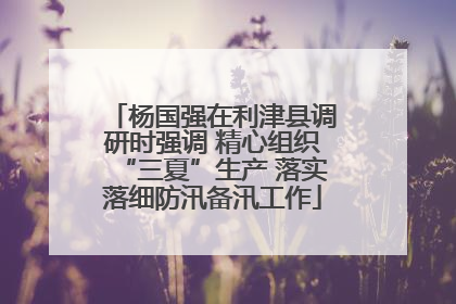 杨国强在利津县调研时强调 精心组织“三夏”生产 落实落细防汛备汛工作