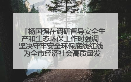 杨国强在调研督导安全生产和生态环保工作时强调 坚决守牢安全环保底线红线 为全市经济社会高质量发展提供坚强保障