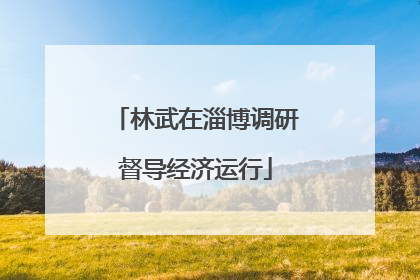 林武在淄博调研督导经济运行