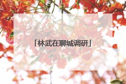 林武在聊城调研