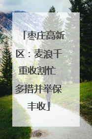 枣庄高新区：麦浪千重收割忙 多措并举保丰收