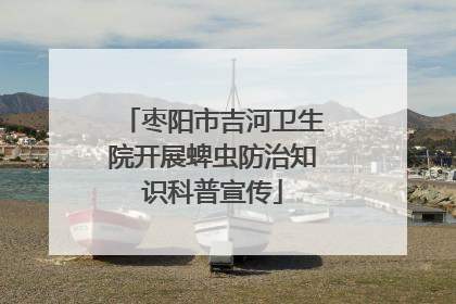 枣阳市吉河卫生院开展蜱虫防治知识科普宣传