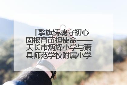 擎旗铸魂守初心 固根育苗担使命——天长市炳辉小学与萧县师范学校附属小学结对共建活动纪实