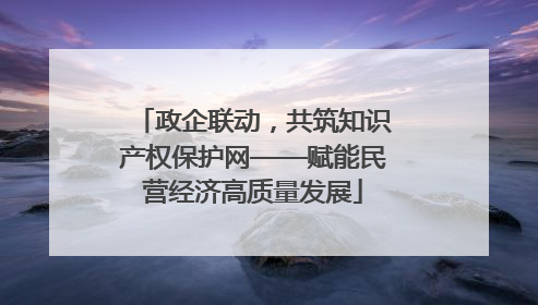 政企联动，共筑知识产权保护网——赋能民营经济高质量发展