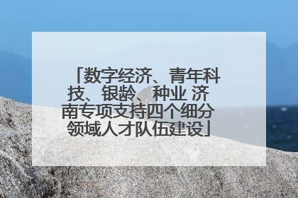 数字经济、青年科技、银龄、种业 济南专项支持四个细分领域人才队伍建设
