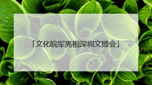 文化皖军亮相深圳文博会