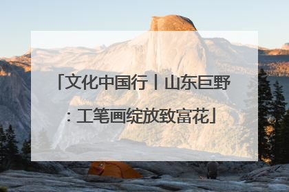 文化中国行丨山东巨野：工笔画绽放致富花