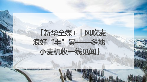 新华全媒+｜风吹麦浪好“丰”景——多地小麦机收一线见闻