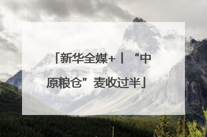 新华全媒+丨“中原粮仓”麦收过半