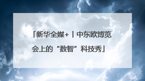 新华全媒+丨中东欧博览会上的“数智”科技秀