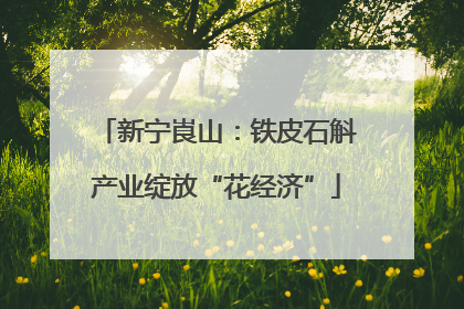 新宁崀山：铁皮石斛产业绽放“花经济”