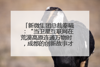 新微集团总裁秦曦：“当卫星互联网在荒漠高原连通万物时，成都的创新故事才真正开始”