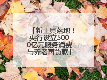 新工具落地！央行设立5000亿元服务消费与养老再贷款