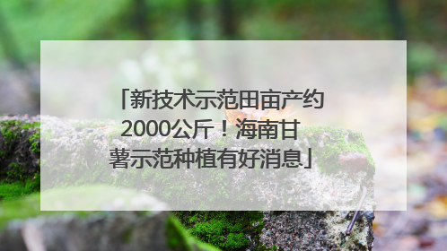 新技术示范田亩产约2000公斤！海南甘薯示范种植有好消息