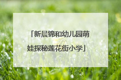 新晨锦和幼儿园萌娃探秘莲花街小学
