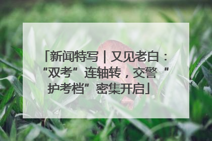 新闻特写｜又见老白：“双考”连轴转，交警“护考档”密集开启