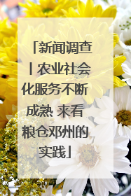 新闻调查丨农业社会化服务不断成熟 来看粮仓邓州的实践