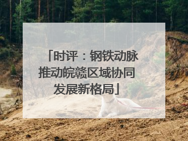 时评：钢铁动脉推动皖赣区域协同发展新格局