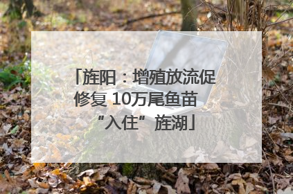旌阳：增殖放流促修复 10万尾鱼苗“入住”旌湖