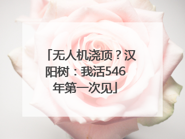 无人机浇顶？汉阳树：我活546年第一次见