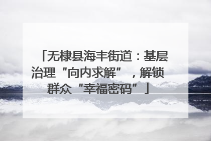 无棣县海丰街道：基层治理“向内求解”，解锁群众“幸福密码”