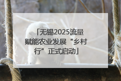 无锡2025流量赋能农业发展“乡村行”正式启动