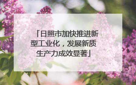 日照市加快推进新型工业化，发展新质生产力成效显著