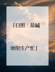 日照：盐碱地里生产忙