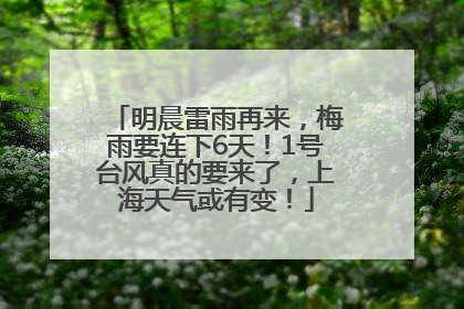 明晨雷雨再来，梅雨要连下6天！1号台风真的要来了，上海天气或有变！