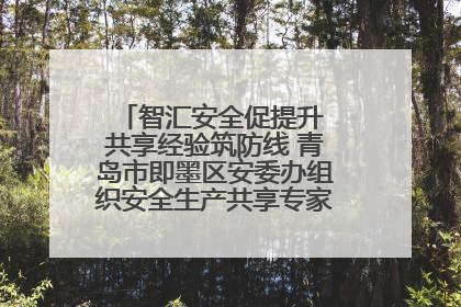 智汇安全促提升 共享经验筑防线 青岛市即墨区安委办组织安全生产共享专家现场观摩学习活动
