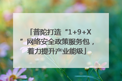 普陀打造“1+9+X”网络安全政策服务包，着力提升产业能级