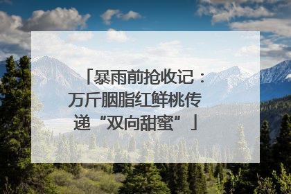 暴雨前抢收记：万斤胭脂红鲜桃传递“双向甜蜜”