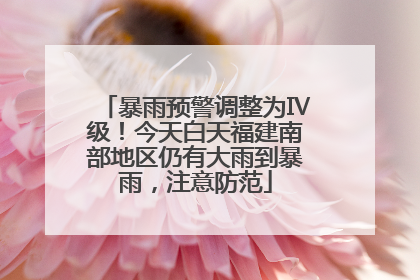 暴雨预警调整为Ⅳ级！今天白天福建南部地区仍有大雨到暴雨，注意防范