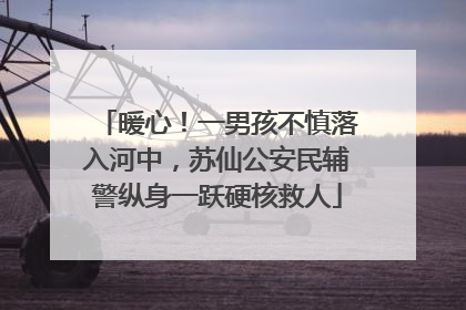 暖心！一男孩不慎落入河中，苏仙公安民辅警纵身一跃硬核救人