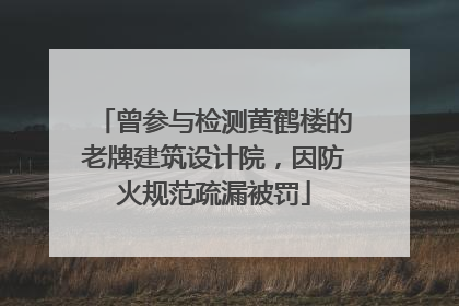 曾参与检测黄鹤楼的老牌建筑设计院，因防火规范疏漏被罚