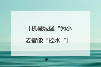 机械城堡“为小麦智能“控水“