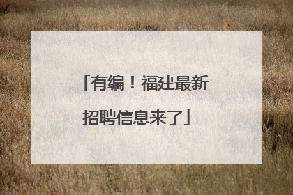 有编！福建最新招聘信息来了