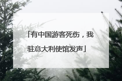 有中国游客死伤，我驻意大利使馆发声