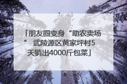 朋友圈变身“助农卖场” 武陵源区黄家坪村5天销出4000斤包菜