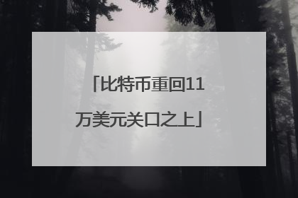 比特币重回11万美元关口之上