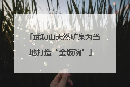 武功山天然矿泉为当地打造“金饭碗”