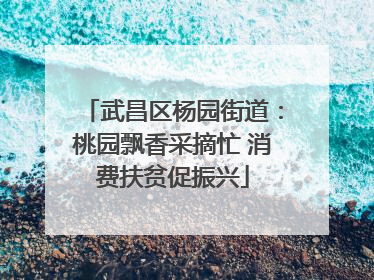 武昌区杨园街道：桃园飘香采摘忙 消费扶贫促振兴