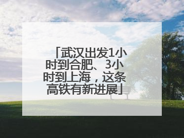 武汉出发1小时到合肥、3小时到上海，这条高铁有新进展