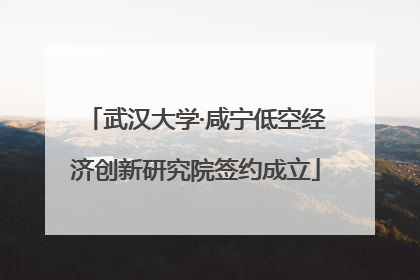 武汉大学·咸宁低空经济创新研究院签约成立