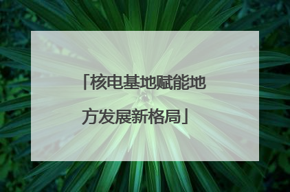核电基地赋能地方发展新格局