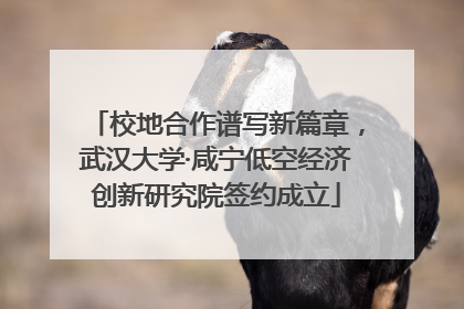 校地合作谱写新篇章，武汉大学·咸宁低空经济创新研究院签约成立