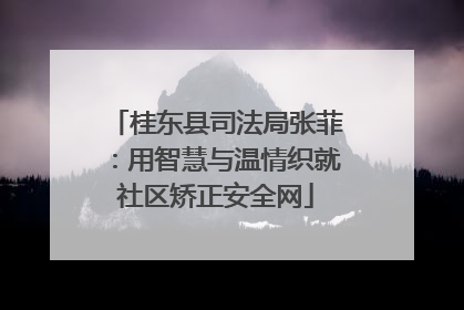 桂东县司法局张菲：用智慧与温情织就社区矫正安全网