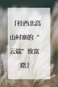 桂西北高山村寨的“云端”致富路