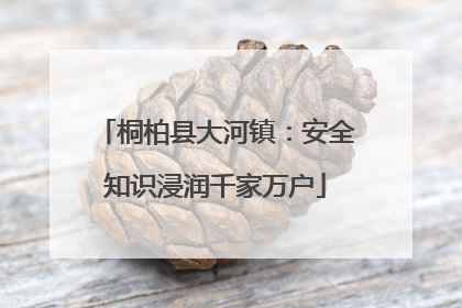 桐柏县大河镇：安全知识浸润千家万户